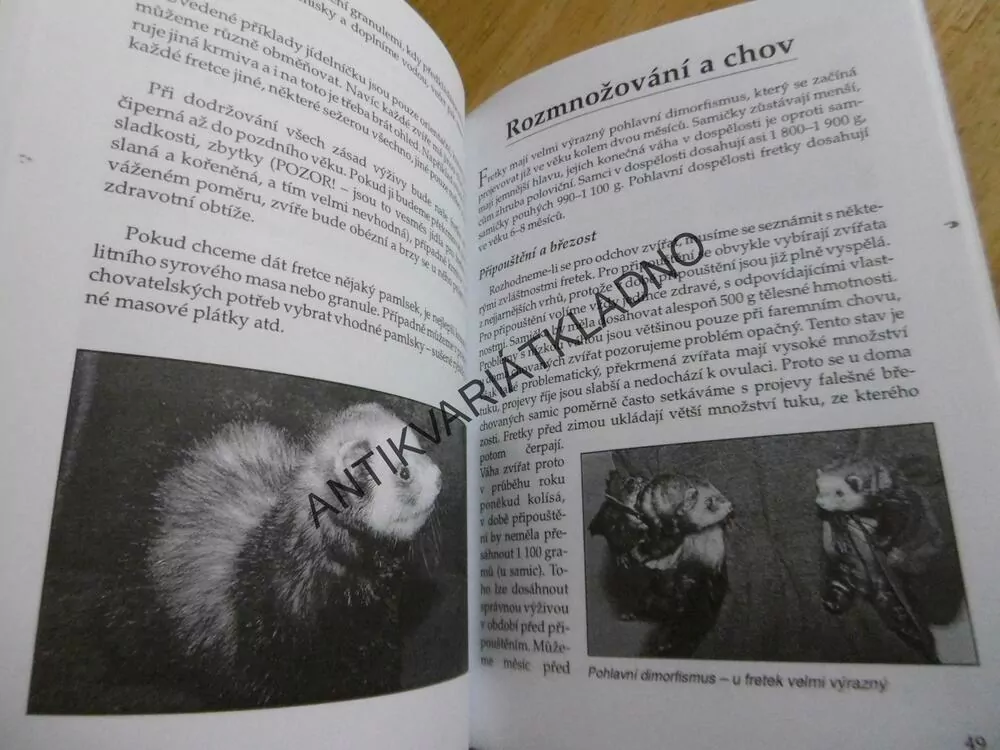 FRETKA, LENKA SKOUPÁ, **an