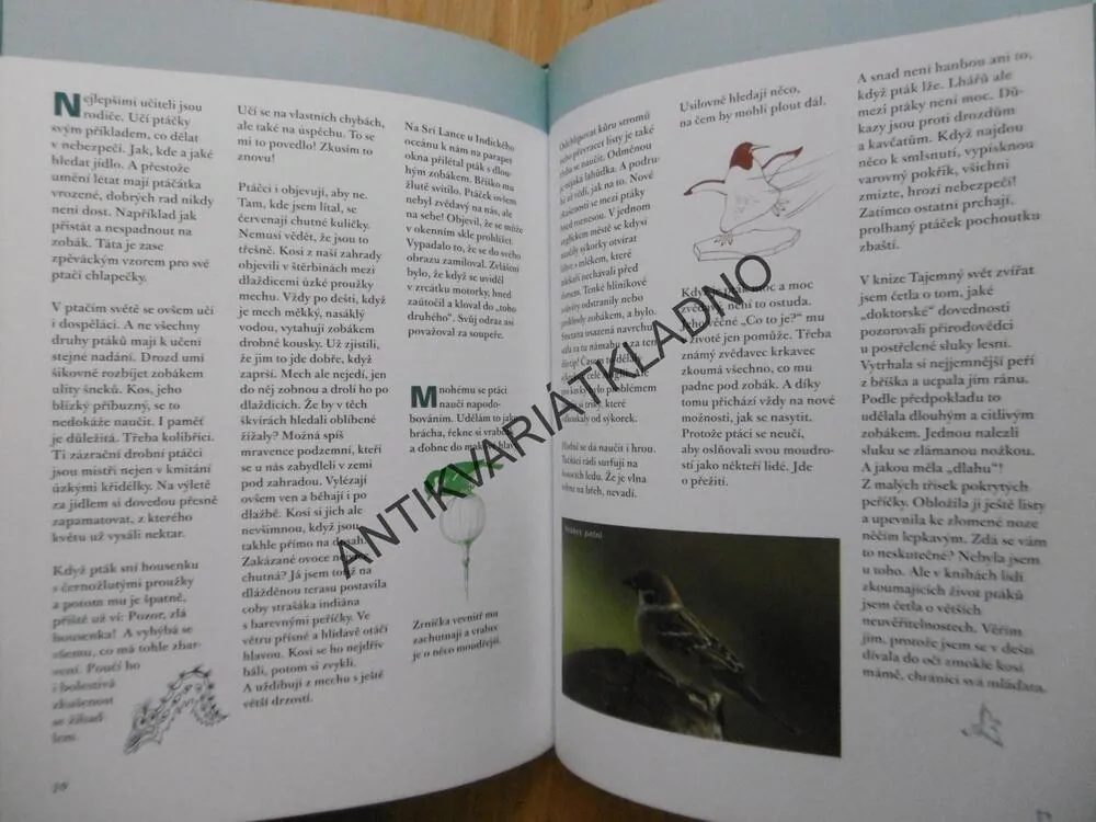 ŽIVOT NENÍ PEŘÍČKO, IRENA GÁLOVÁ, POVÍDÁNÍ O PTÁCÍCH, **an