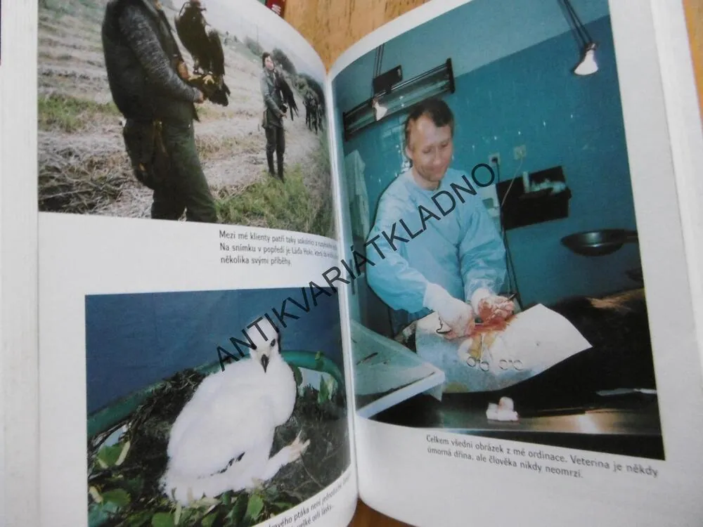 PROČ JE BÁJEČNÉ BÝT ZVĚROLÉKAŘEM, ALENA HRACHOVCOVÁ, JAN HERČÍK, **an