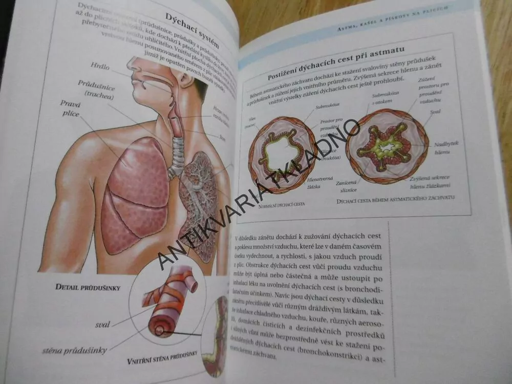 ALERGIE A SENNÁ RÝMA, INFORMACE A RADY LÉKAŘE, **an
