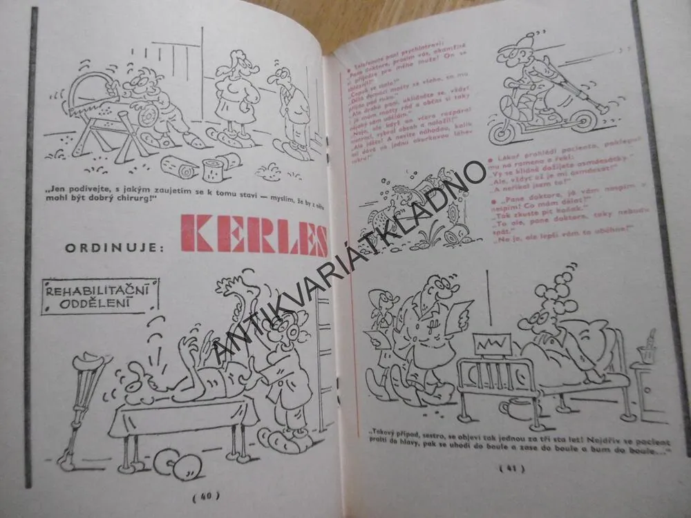 MINIKALENDÁŘ DIKOBRAZU, 1981, **an