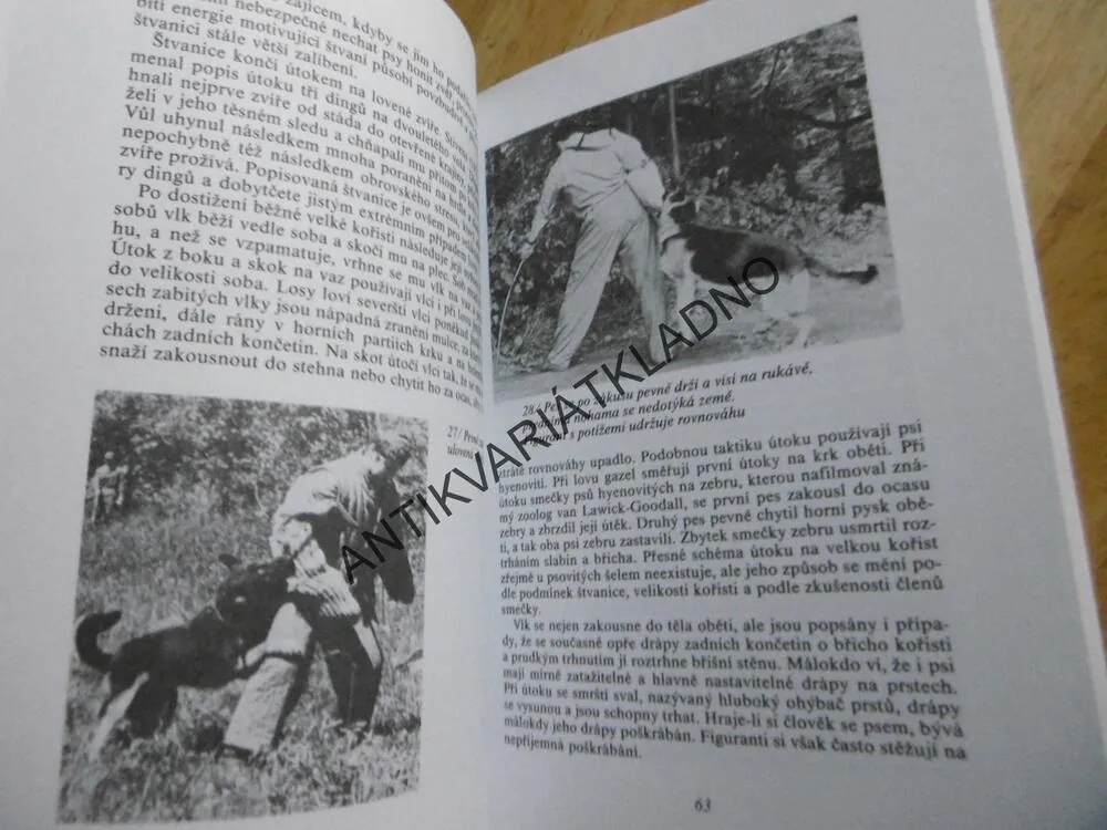 POZNEJ SVÉHO PSA, VLADIMÍR MIKULICA,  **an