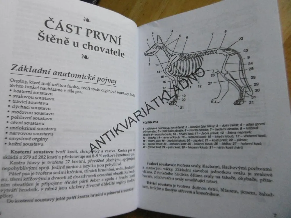 ŠTĚŇATA, VÝŽIVA, PÉČE, VÝCHOVA, VLADIMÍRA JESTŘÁBOVÁ, **an
