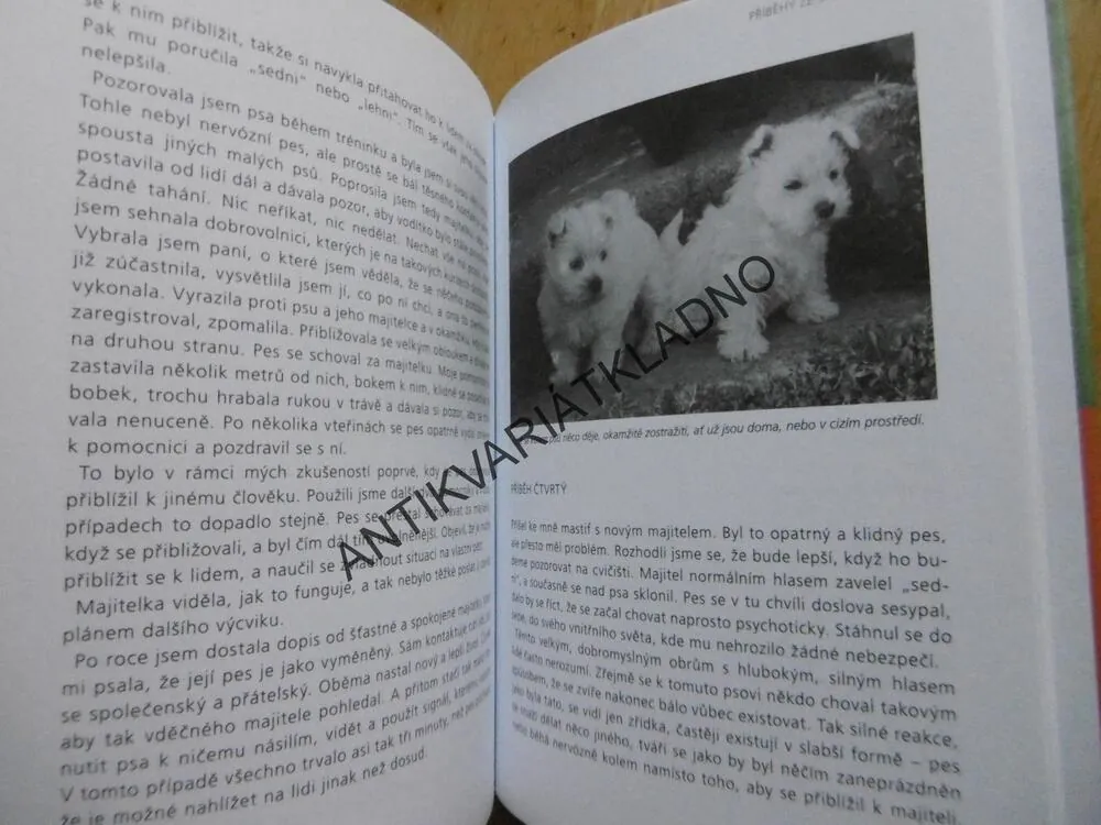 KONEJŠIVÉ SIGNÁLY, NA JEDNÉ VLNĚ SE PSEM, TURID RUGAAS, **an