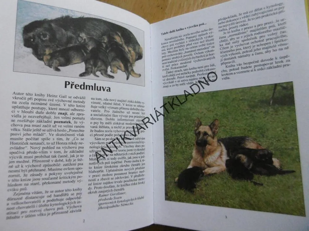 VÝCHOVA PSA OD A DO Z, HEINZ GAIL, **an