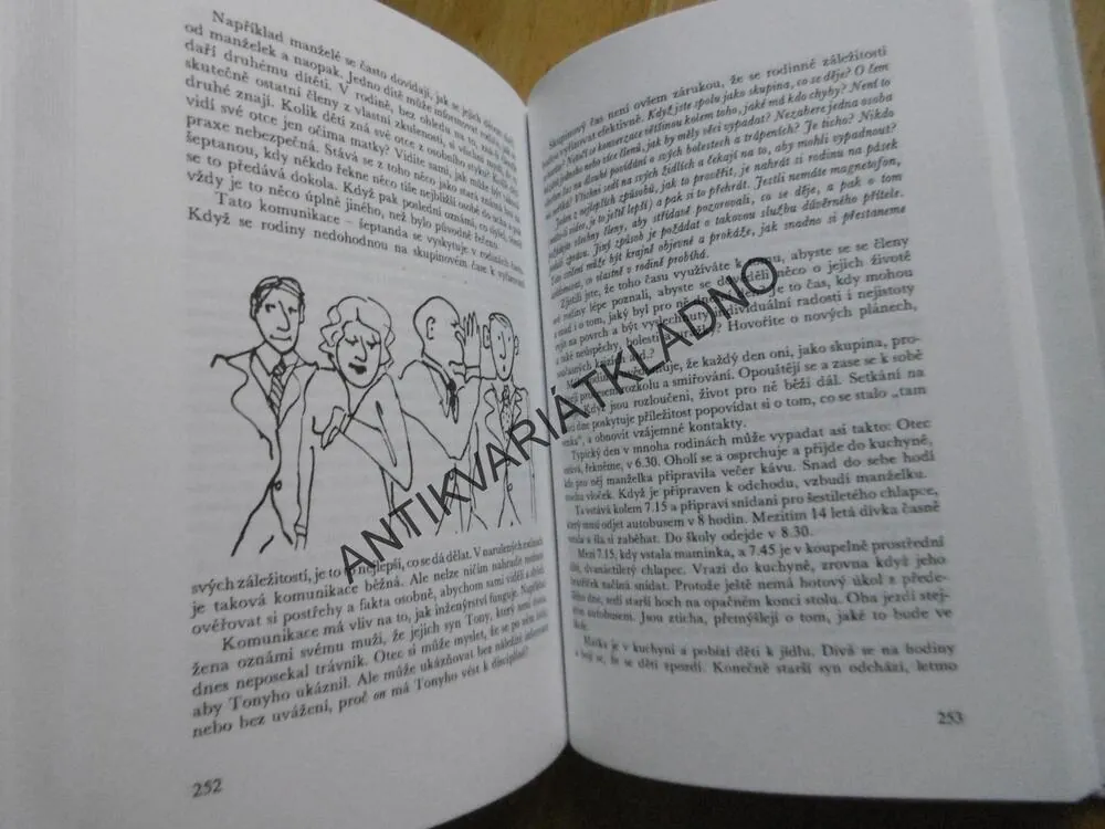 KNIHA O RODINĚ, VIRGINIA SATIROVÁ, , **an