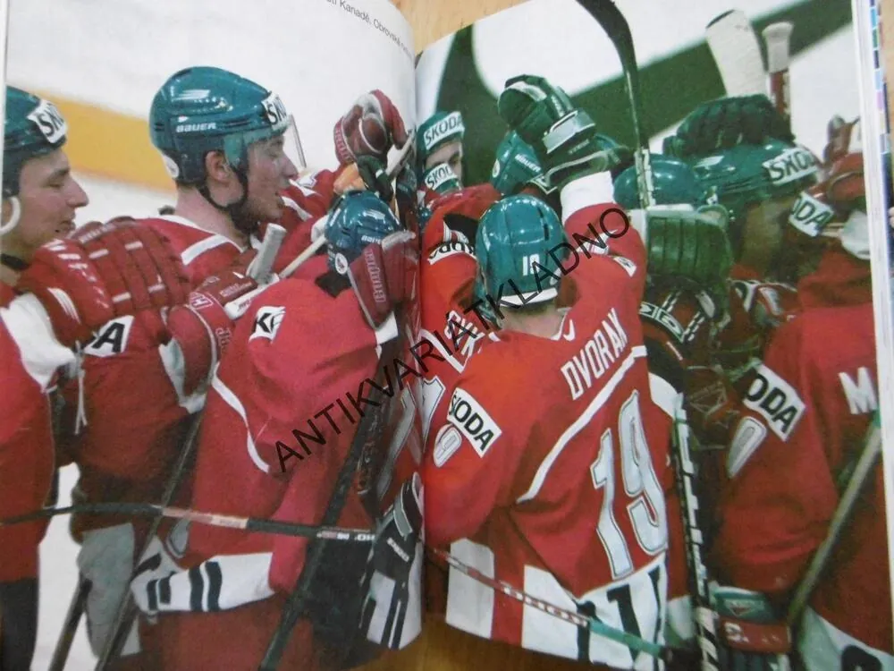 MISTŘI!!!, CESTA NAŠICH HOKEJISTŮ ZA ZLATEM NA MS 1999 V NORSKU, **an