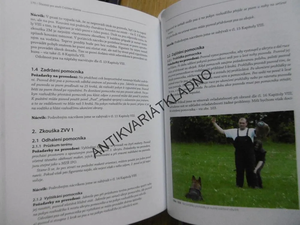 ŠTASTNÝ PES ANEB CVIČÍME HLAVOU, 2. DÍL, LADISLAV MACH, **an