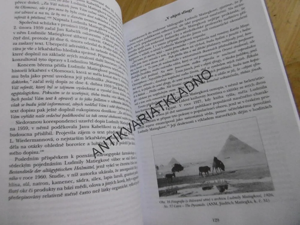 OKOUZLENÍ EGYPTEM, LUDMILA MATIEGKOVÁ (1889 - 1960), HANA HAVLŮJOVÁ, **an