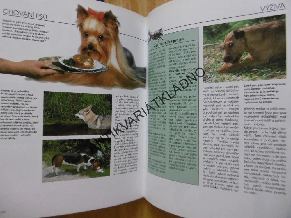 PSÍ DESATERO, MONIKA WEGLEROVÁ, **an