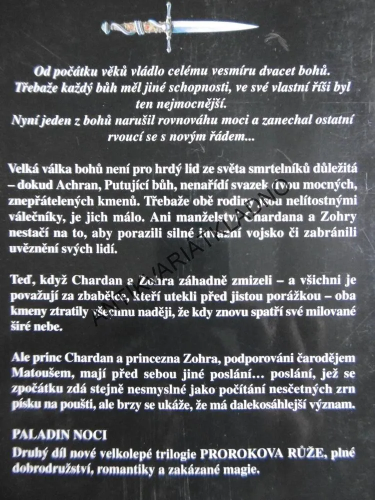 PALADIN NOCI, MARGARET WEIS, **an