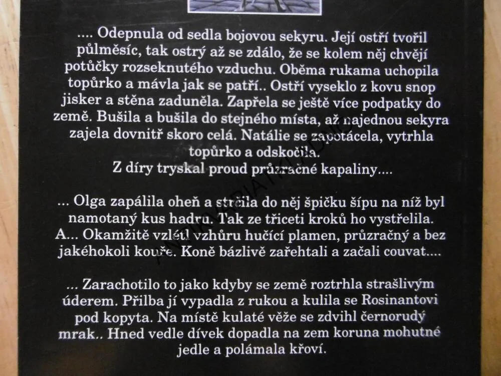 RYTÍŘKA NATAL, ALEXANDR BUŠKOV, **an