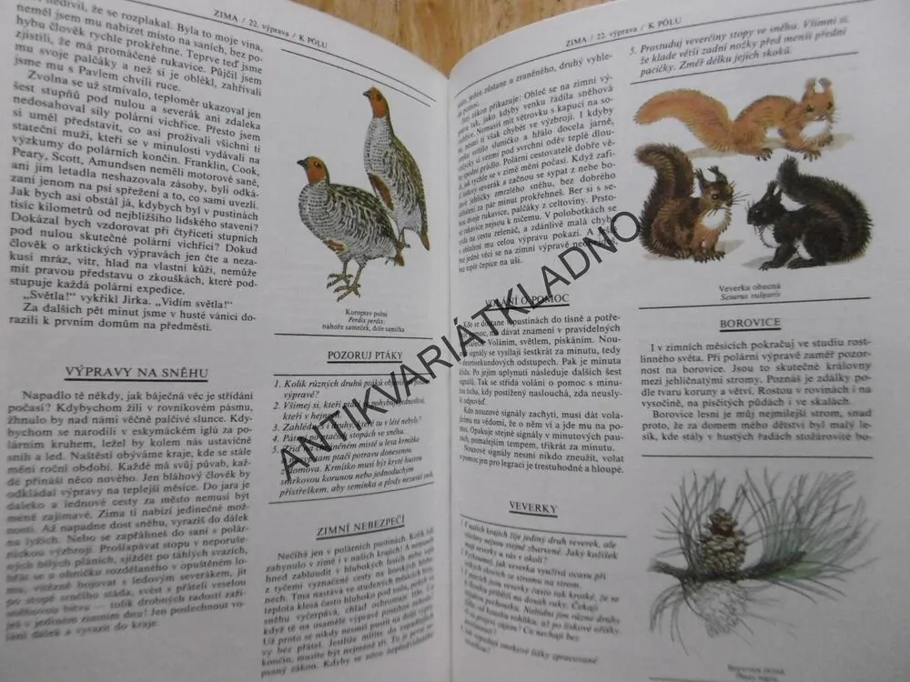 VÝPRAVY ZA DOBRODRUŽSTVÍM, MILOŠ ZAPLETAL, **an