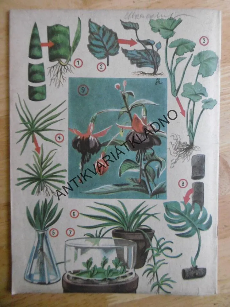 VTM - VĚDA A TECHNIKA MLÁDEŽI, 11/1956