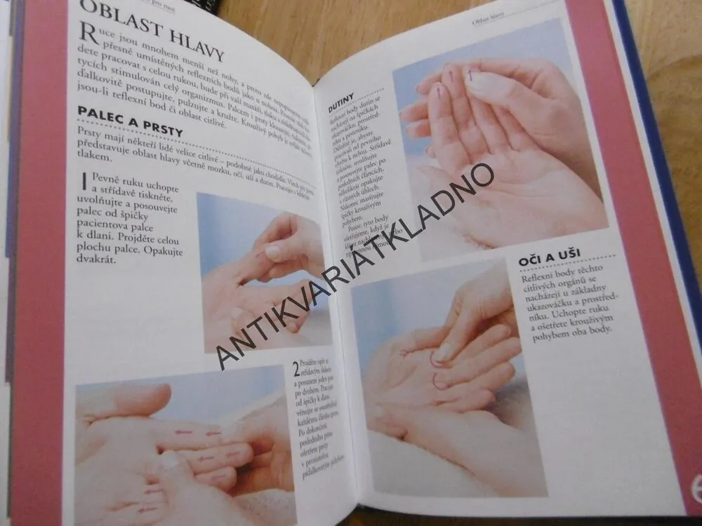 REFLEXNÍ TERAPIE, GILLIAN SOUTAROVÁ, **an