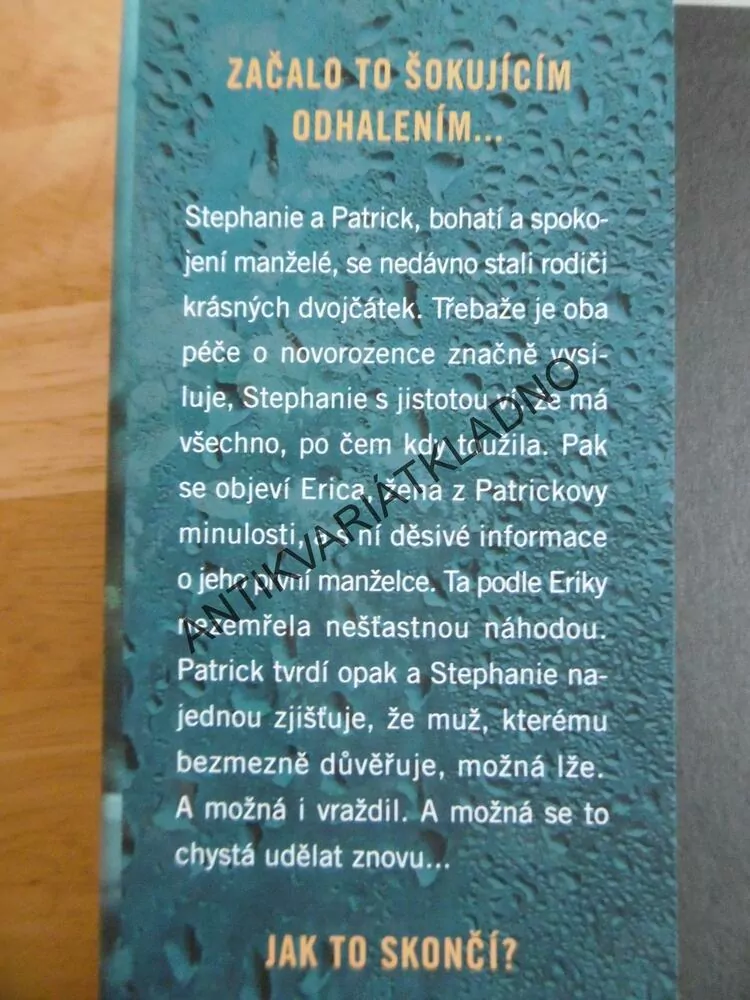 JEJÍ KONEC, SHARI LAPENA, **an