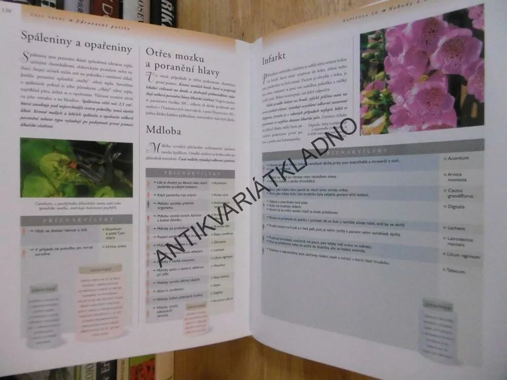 HOMEOPATIE PRO ŽENY, BARRY ROSE, **an