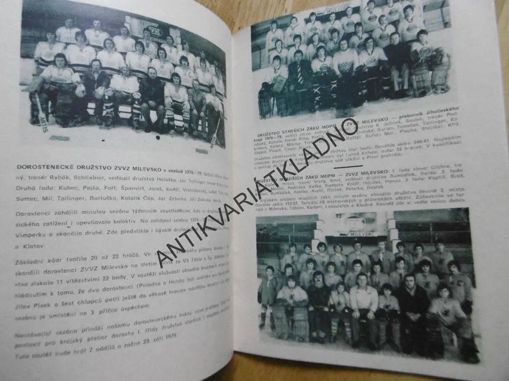 TJ ZVZ MILEVSKO 1979-80, LEDNÍ HOKEJ