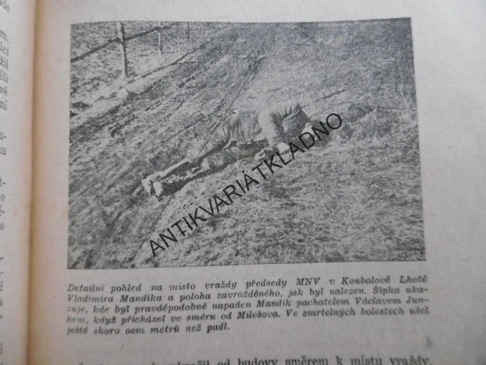 VESNICKÝ BOHÁČ, PIJAVICE VESNICE, KNIHOVNA JZD