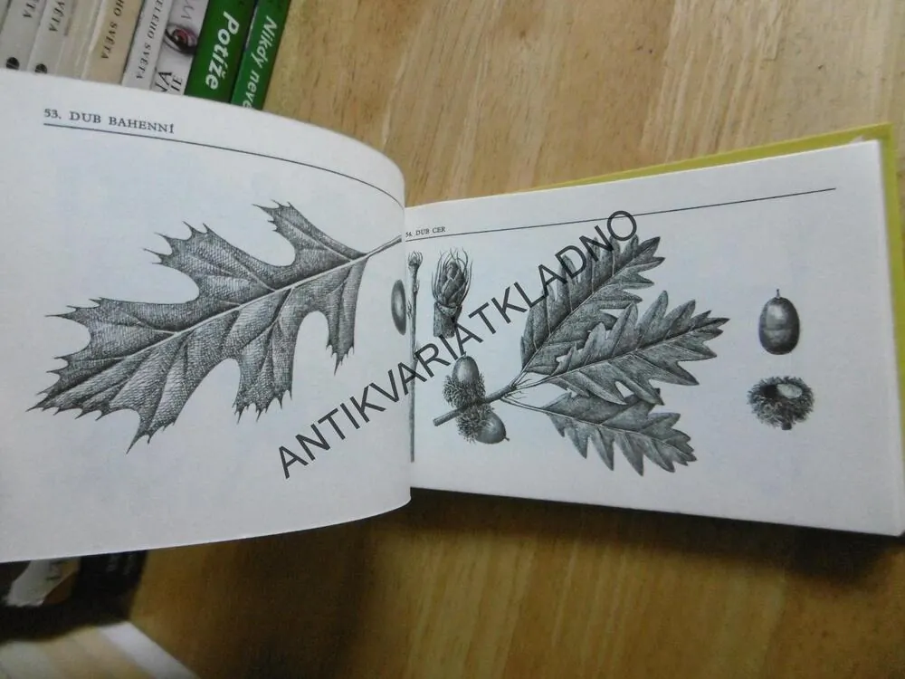 NAŠE STROMY A KEŘE, ALOIS MIKULA, **an