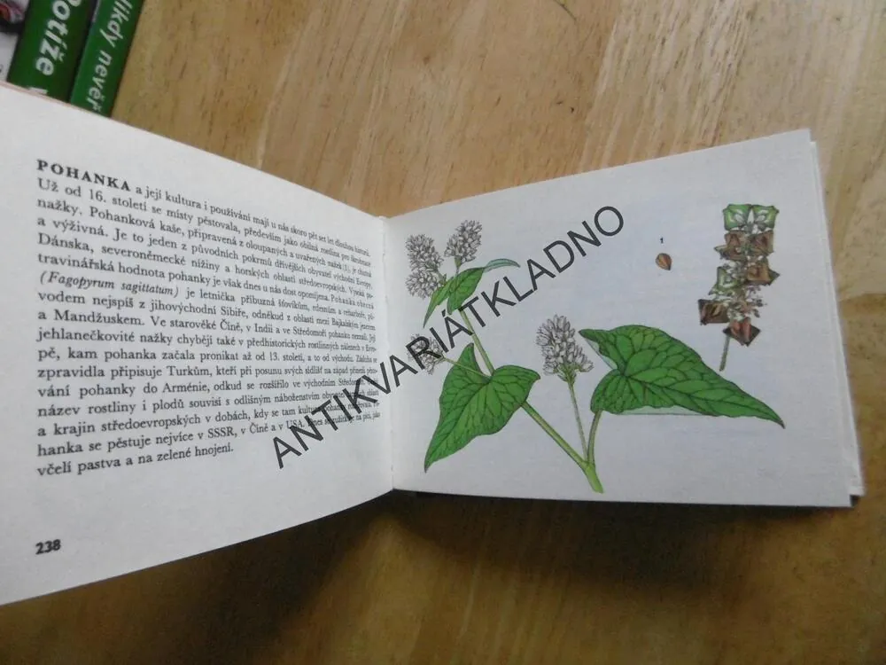 ROSTLINY ZNÁMÉ NEZNÁMÉ, JIRÁSEK, PROCHÁZKA, EDICE OKO 28, **an