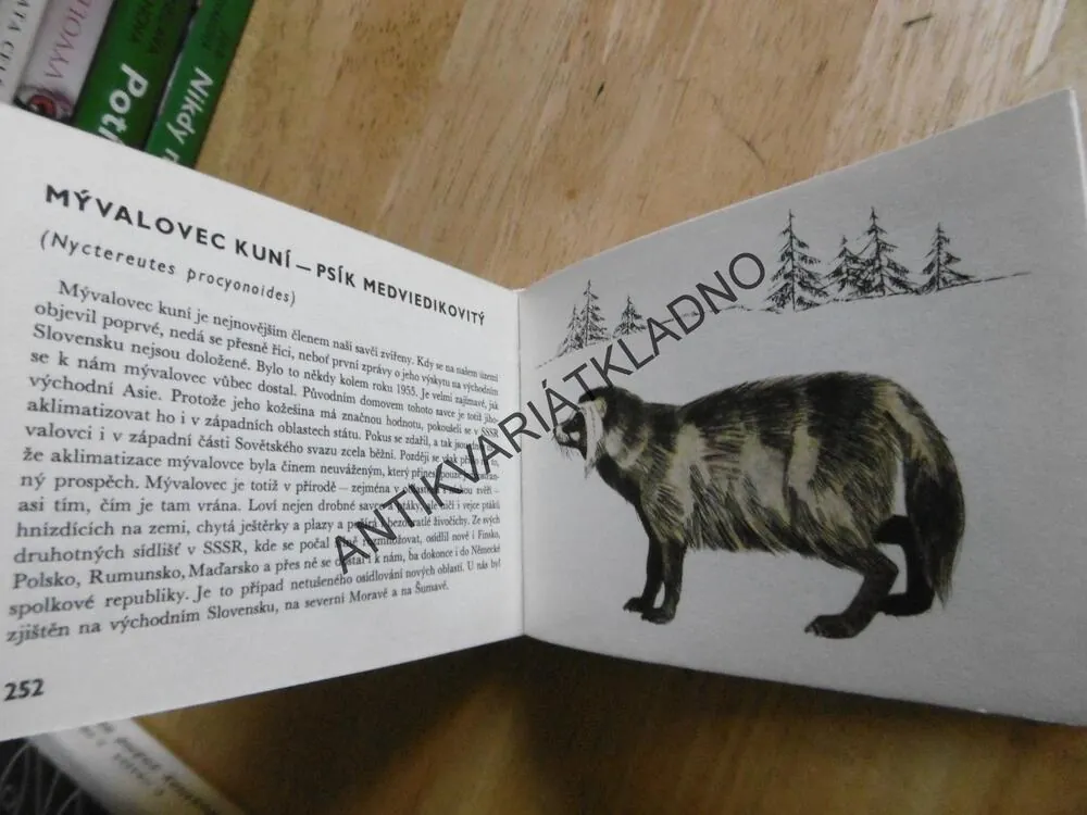 NAŠI SAVCI, HANZÁK, ČERNÁ, MAZÁK, EDICE OKO 26, **an
