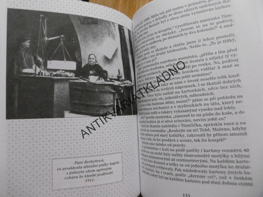 RŮŽE Z PRAŽSKÝCH TRHŮ, BOŽENA OBDRŽÁLKOVÁ, **an