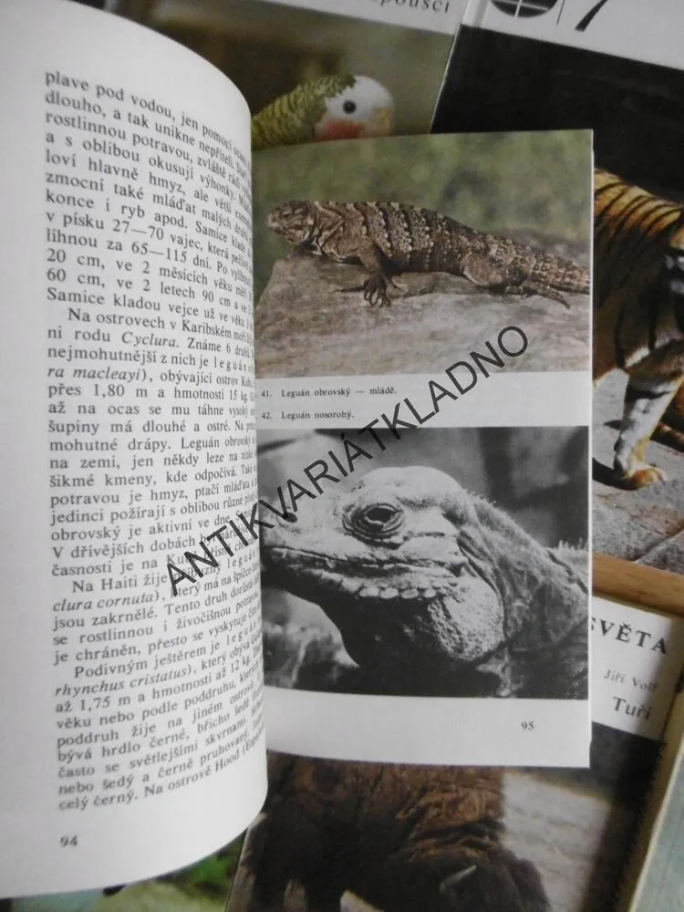 ZVÍŘATA CELÉHO SVĚTA, 1 - 13, **an