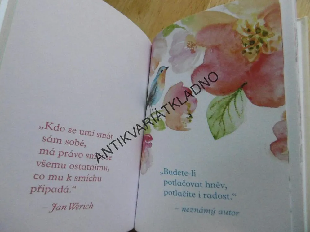 RADOST, **an