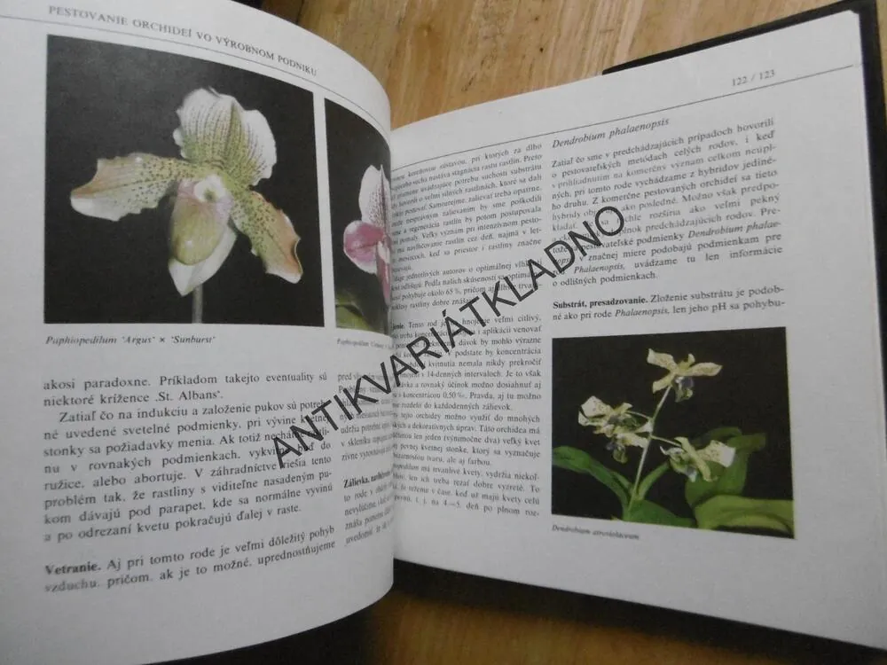 ORCHIDEY, J. ZÁKREJS, SLOVENSKY, **an