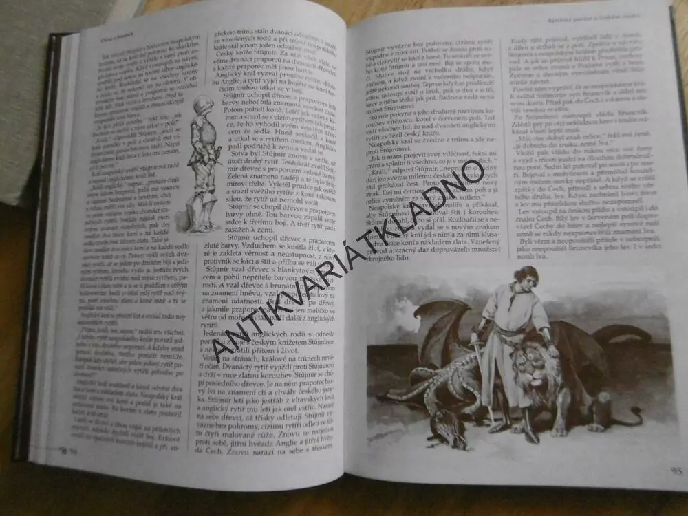 ČTENÍ O HRADECH ZÁMCÍCH A MĚSTECH,PETIŠKA