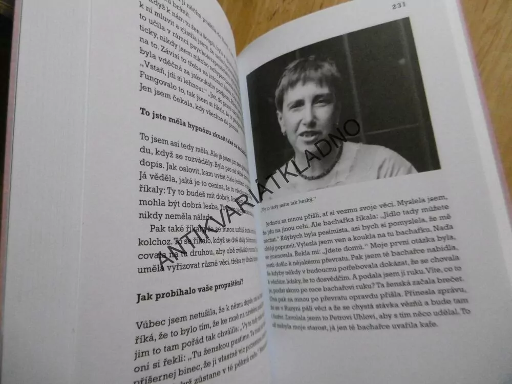 JIŘINA ŠIKLOVÁ BEZ OHLÁVKY, MICHAL PLZÁK, MAGDALENA ČECHLOVSKÁ, **an