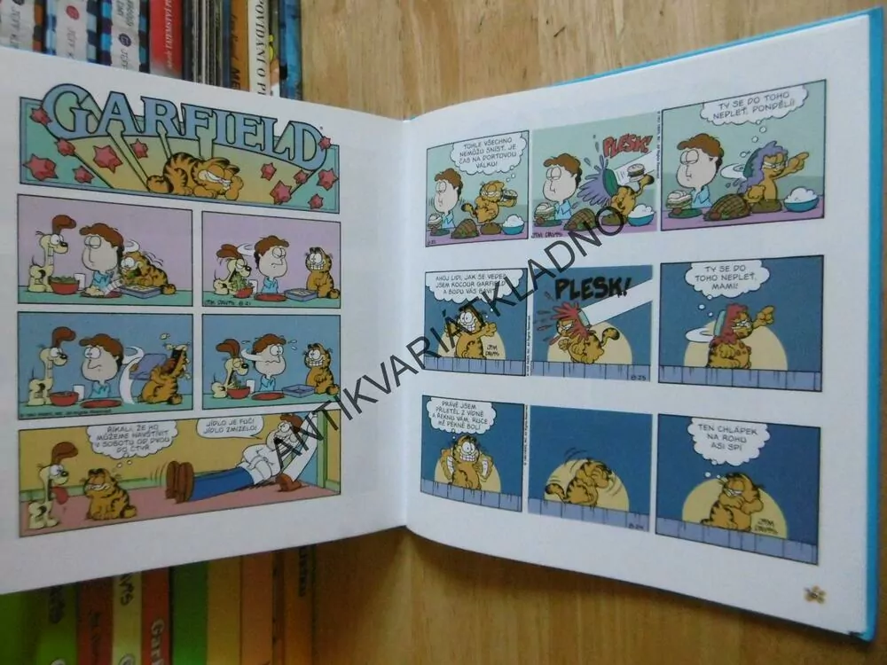 GARFIELD BERE VŠE, JIM DAVIS, **an