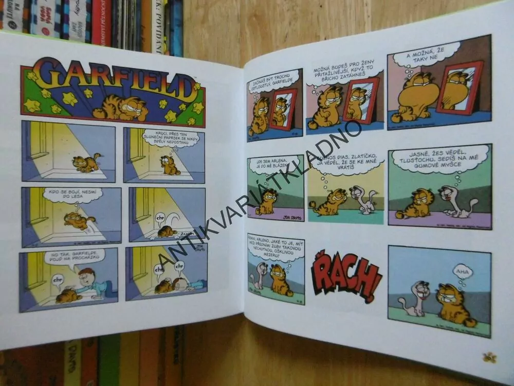 GARFIELD V PLNÉ PARÁDĚ, JIM DAVIS, **an