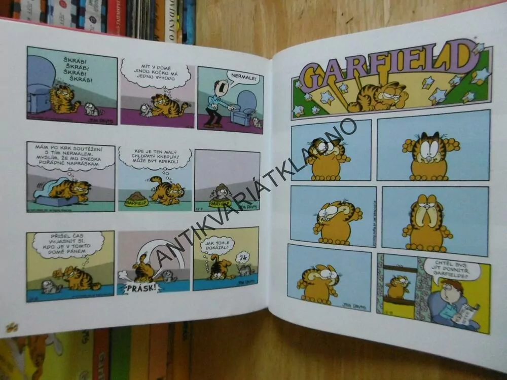 GARFIELD SE VYBARVUJE, JIM DAVIS, **an