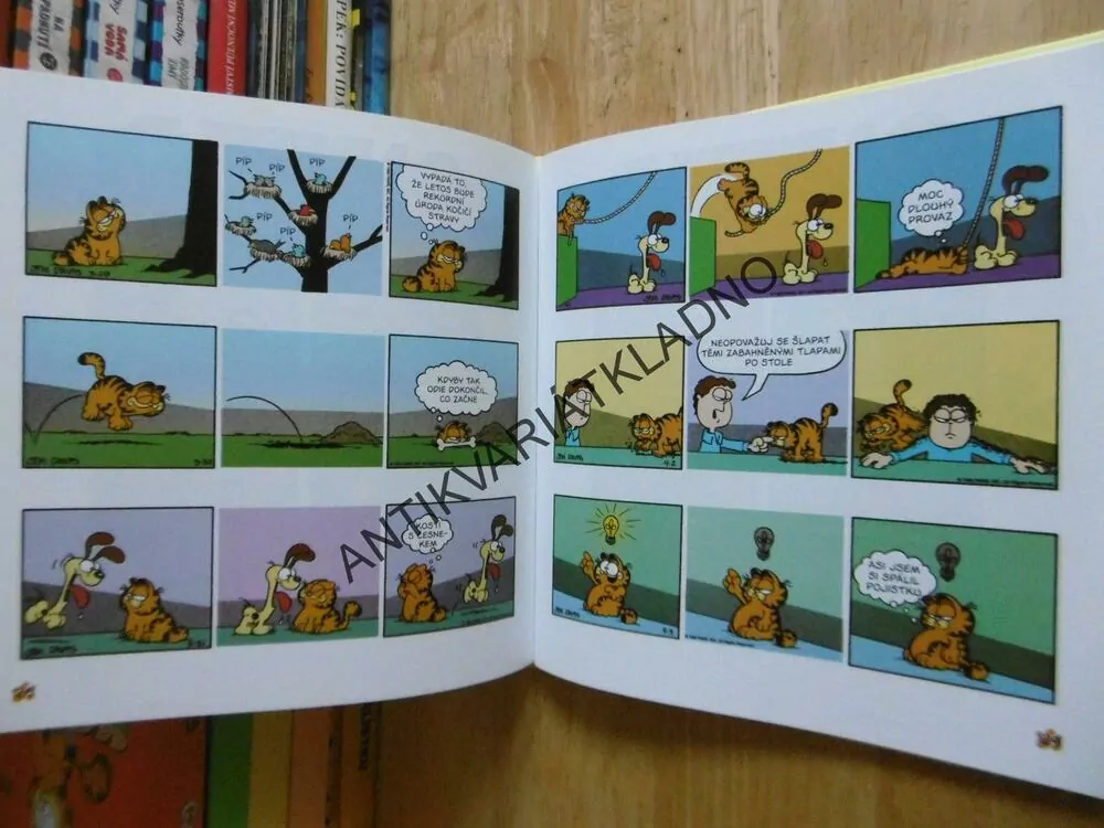 GARFIELD UŽÍVÁ ŽIVOTA, JIM DAVIS, **an