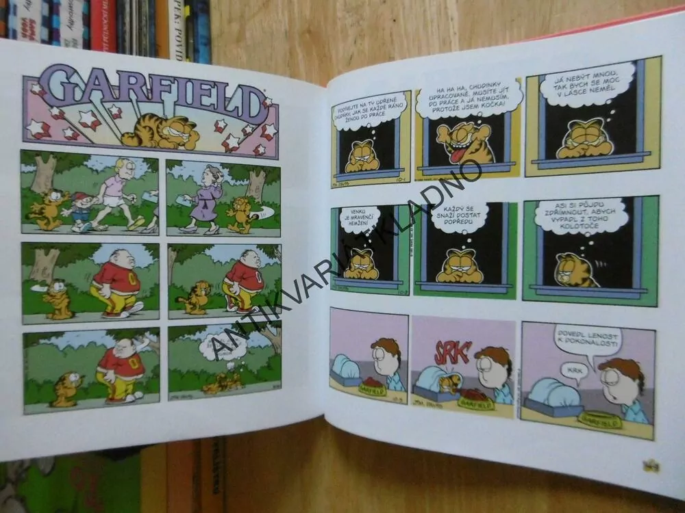 GARFIELD O DVOU CHODECH, JIM DAVIS, **an