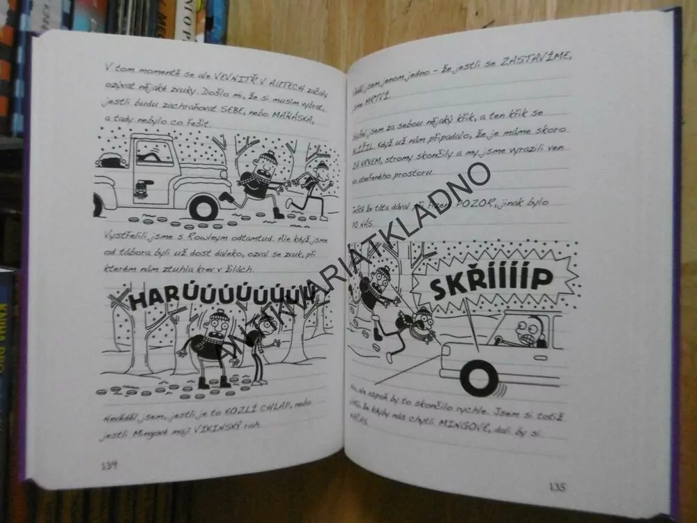 DENÍK MALÉHO POSEROUTKY 13., RADOSTI ZIMY, JEFF KINNEY, **an