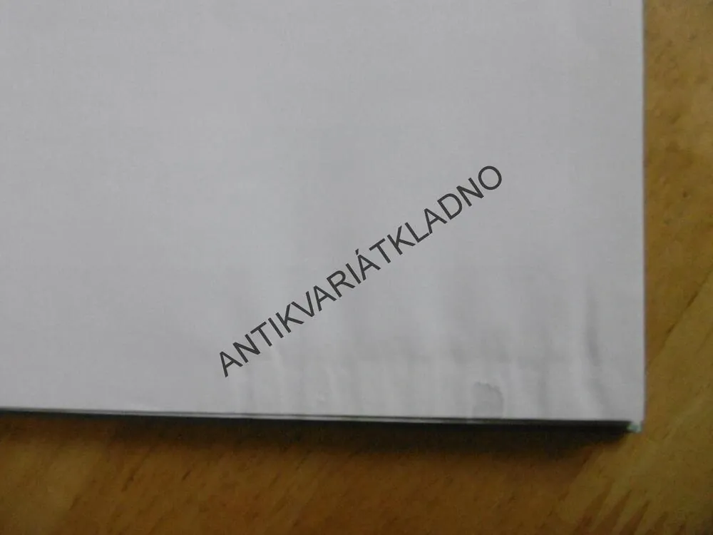 PRVNÍ KROKY SKAUTA, **an