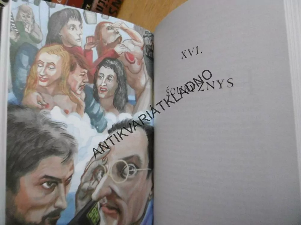 KAMENNÝ MOST, TOMÁŠ VOREL, **an