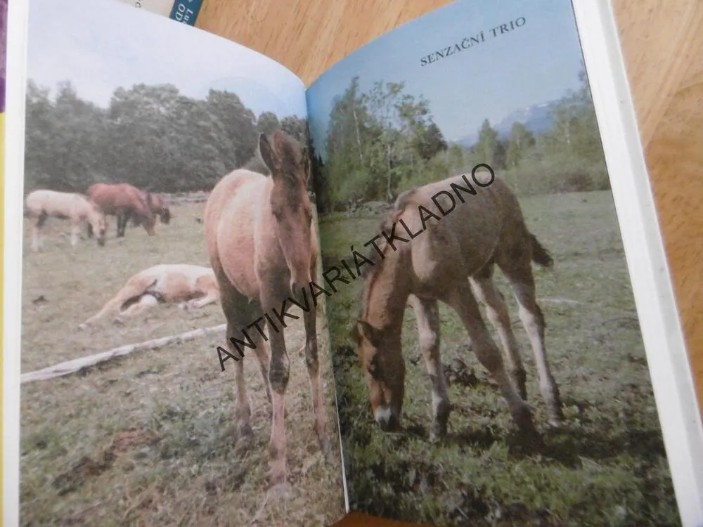 SENZAČNÍ TRIO, JAN SUCHL, **an