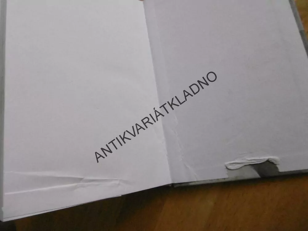 DRUHÁ KŮŽE, ERIC LUSTBADER, **an