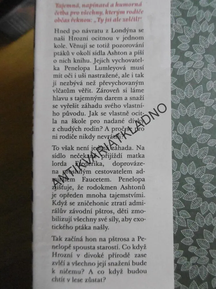 NEPOLEPŠITELNÉ DĚTI ZE SÍDLA ASHTON, NEVIDITELNÝ HOST, MARYROSE WOODOVÁ, **an