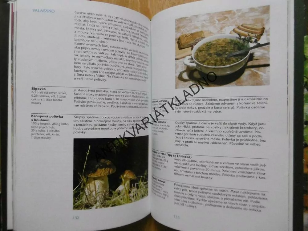 CHUŤOVÝ MÍSTOPIS, MARIE ÚLEHOVÁ-TILSCHOVÁ, **an