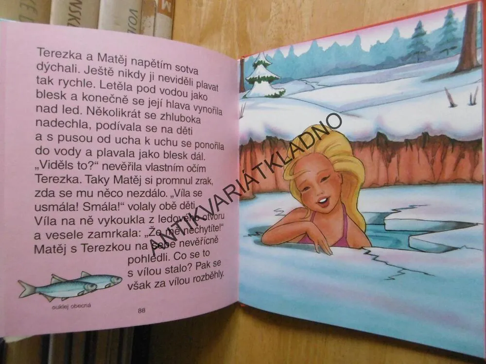 UČÍM SE ČÍST, LESNÍ SKŘÍTEK, **an