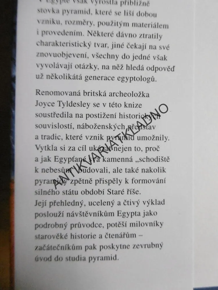 PYRAMIDY, JOYCE TYLDESLEY