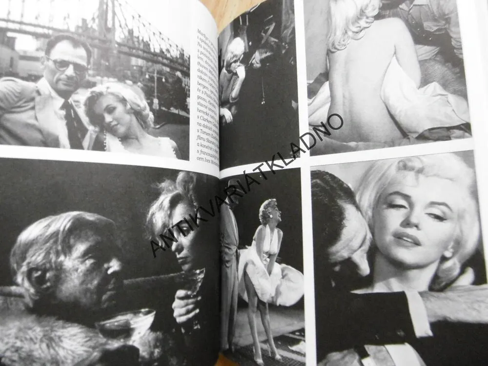 VŠICHNI MUŽI MARILYN MONROE, HEREČKA, FILM, J.E.WAYNEOVÁ