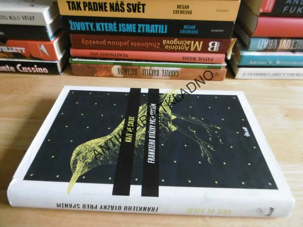 FRANKIEHO OTÁZKY PŘED SPANÍM, KATE DE GOLDI, **an
