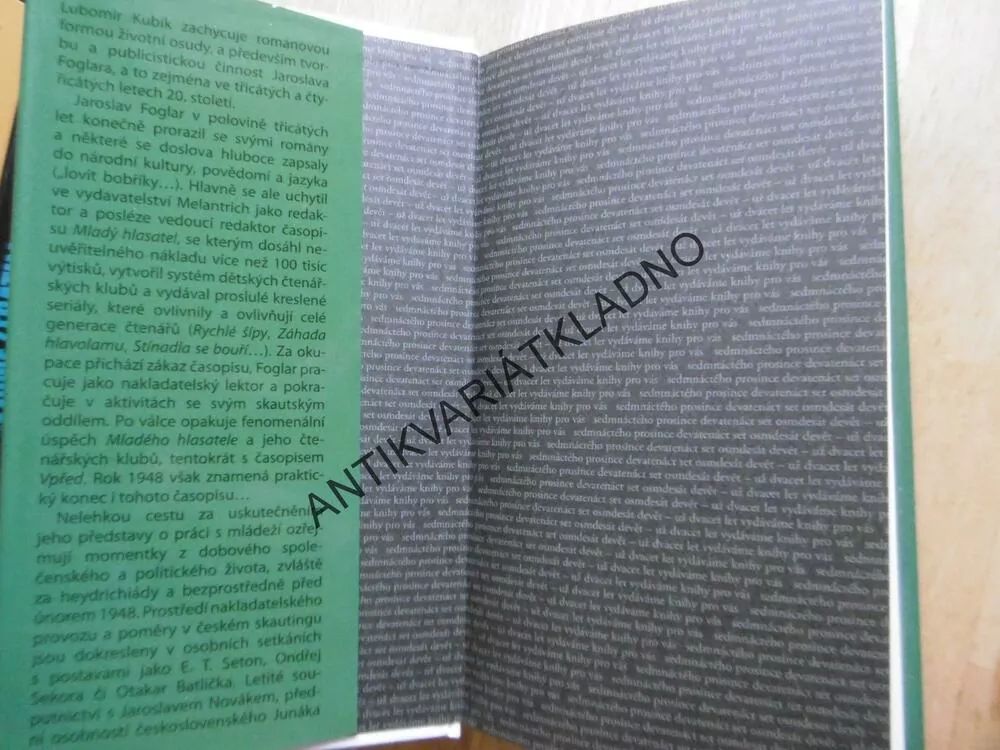 JESTŘÁBŮV LET, PŘÍBĚH JAROSLAVA FOGLARA, LUBOMÍR KUBÍK, **an