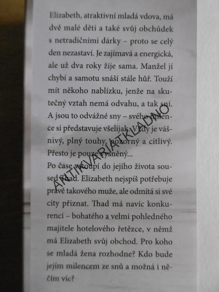 MILENEC ZE SNŮ, SANDRA BROWN, **an